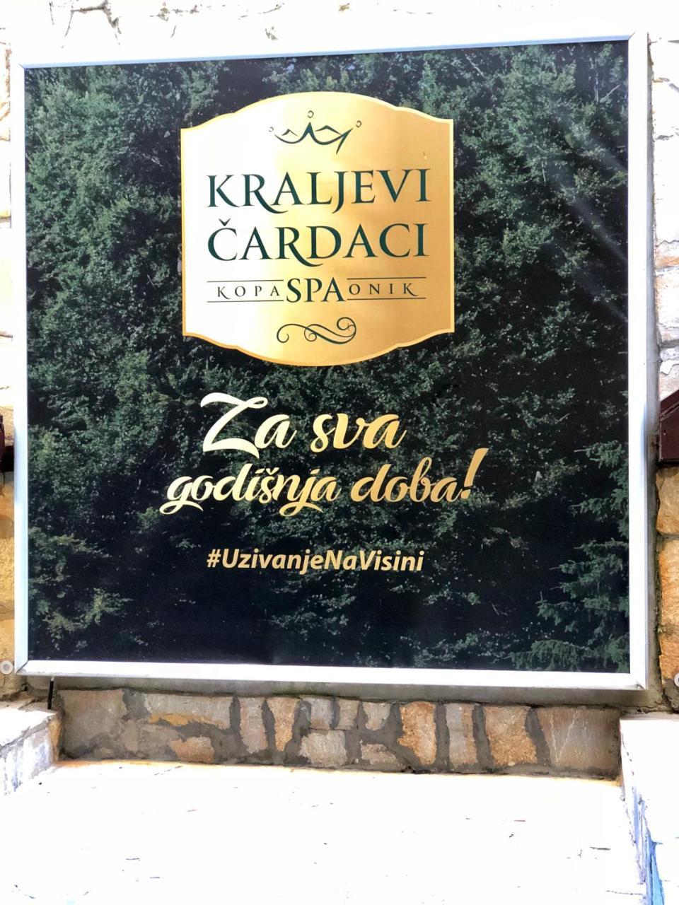 Apartman 33 Kraljevi Cardaci コパオニク エクステリア 写真